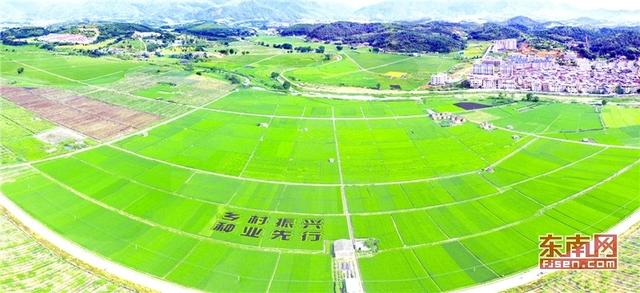 福建打造稻田藝術省份 助力鄉(xiāng)村振興