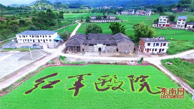 福建打造稻田藝術省份 助力鄉(xiāng)村振興