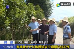省林業(yè)廳廳長(zhǎng)陳照瑜來(lái)寧調(diào)研林業(yè)工作