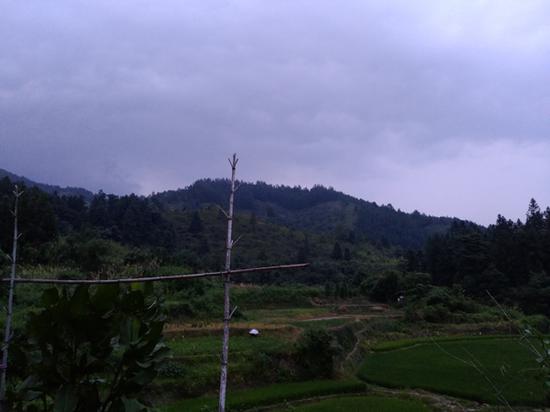 橫嶺鄉(xiāng)的深山野林當(dāng)李錦蓮在山上逃亡時，陳春香正在從東莞回家的路上。