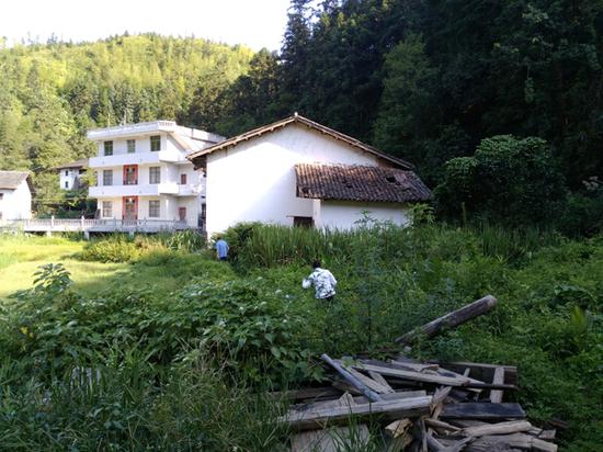 7月20日，李錦蓮與女兒時隔多日回到家中，小路已被荒草淹沒，屋旁荒草叢是老房子原址。