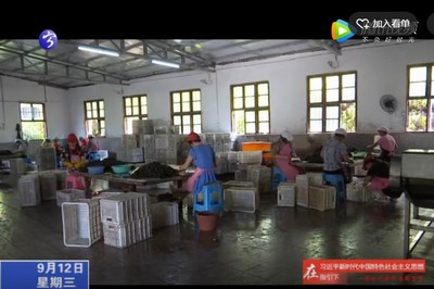 淮土鎮：精準扶貧開良方  幸福生活展新貌