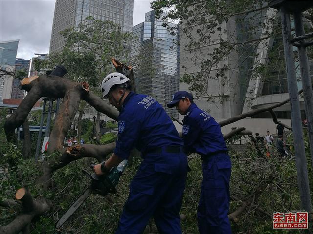 廈門飛鷹救援隊(duì)抵達(dá)深圳 參與“山竹”災(zāi)后救援