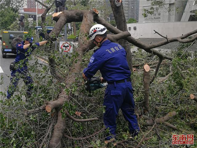 廈門飛鷹救援隊(duì)抵達(dá)深圳 參與“山竹”災(zāi)后救援