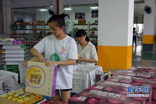 福建武平:金秋豐收季 喜迎百香果采摘節(jié)