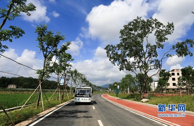 福建武平:金秋豐收季 喜迎百香果采摘節(jié)