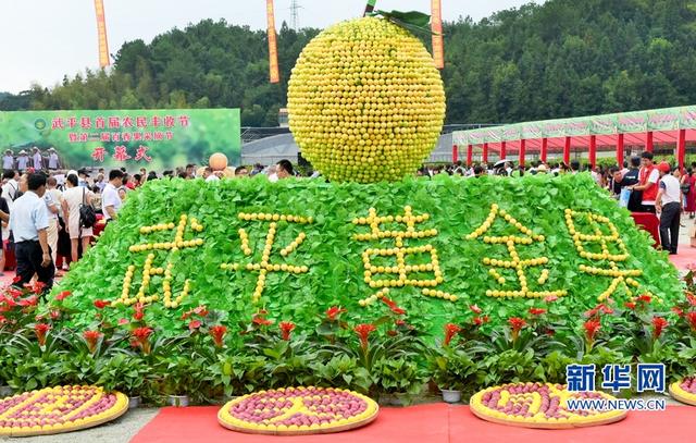 福建武平:金秋豐收季 喜迎百香果采摘節(jié)