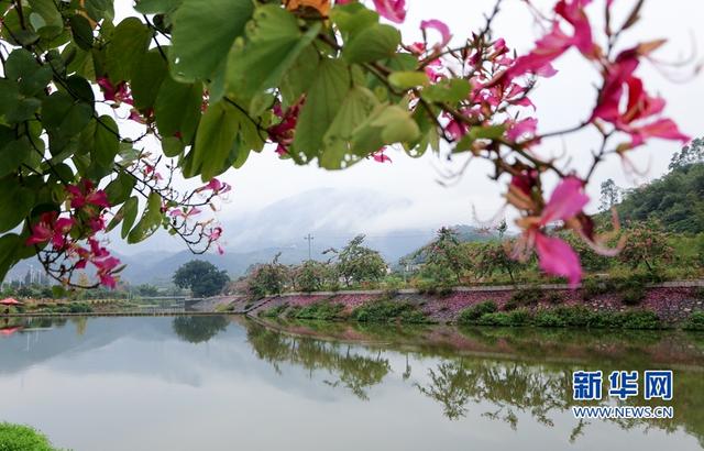福建漳州：打造鄉村生態水系景觀帶 