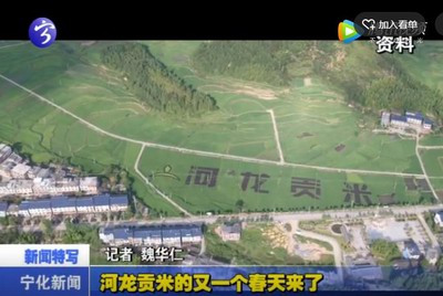 河龍貢米的又一個春天來了