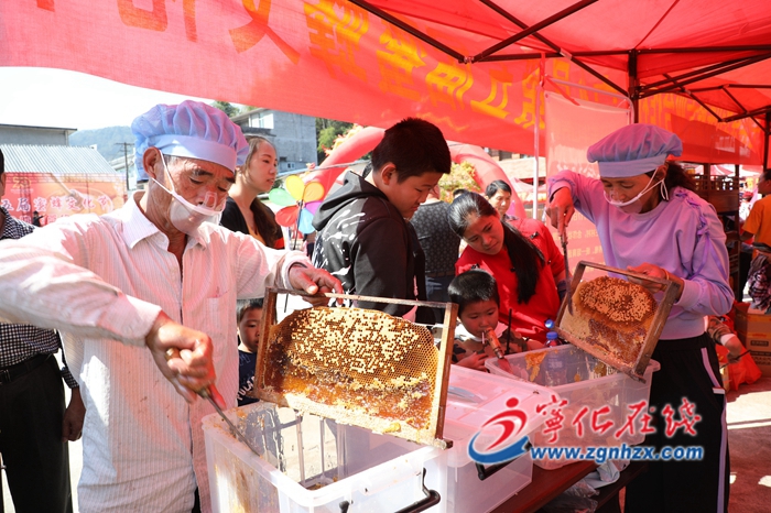 土蜜蜂“釀”出脫貧路