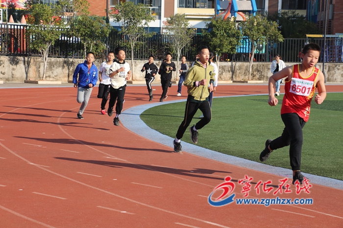 組圖：寧化二實(shí)小第六屆體育運(yùn)動會精彩紛呈