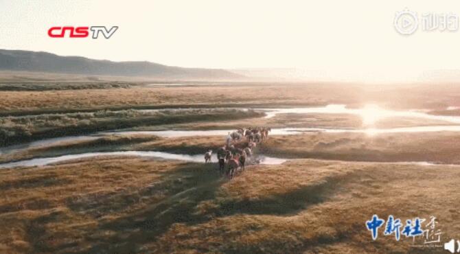 男友打撈落水女童她急救，他們有大學(xué)生最美的樣子！