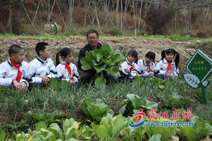 抓魚？采摘果蔬？寧化方田中心學校的文化藝術節竟這樣玩