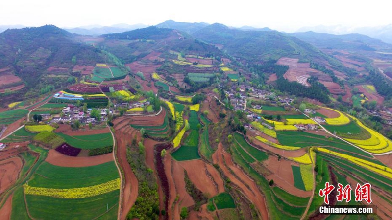 土地如何延包？進城后承包地怎么處置？官方回應