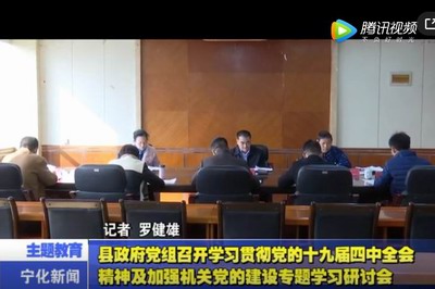 縣政府黨組召開學習貫徹黨的十九屆四中全會精神及加強機關黨的建設專題學習研討
