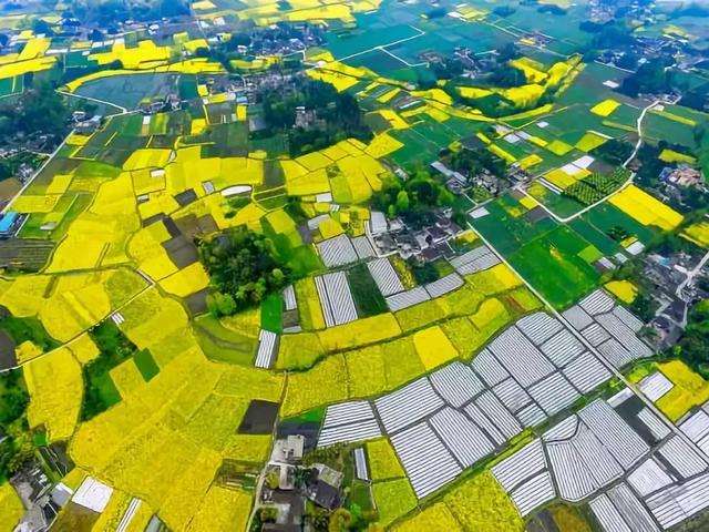 自然資源部:我國啟動已全域土地綜合整治試點工作