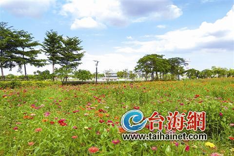 廈門“春節(jié)賞花指南”：賞花賞春色游園游歡樂
