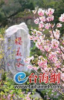 廈門“春節(jié)賞花指南”：賞花賞春色游園游歡樂