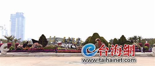 廈門“春節(jié)賞花指南”：賞花賞春色游園游歡樂