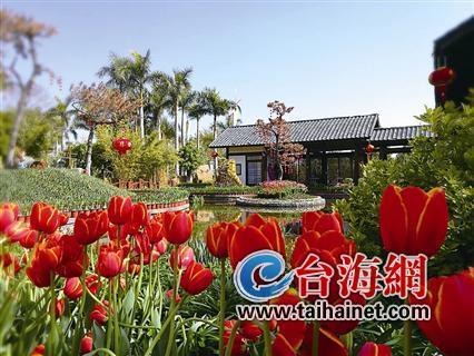 廈門“春節(jié)賞花指南”：賞花賞春色游園游歡樂