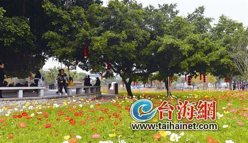 廈門“春節(jié)賞花指南”：賞花賞春色游園游歡樂
