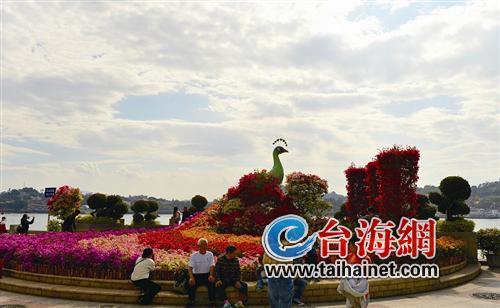 廈門“春節(jié)賞花指南”：賞花賞春色游園游歡樂
