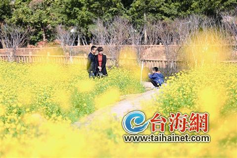 廈門“春節(jié)賞花指南”：賞花賞春色游園游歡樂