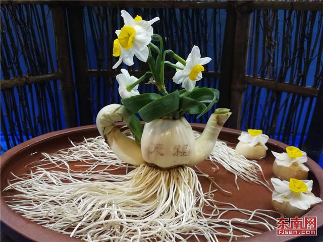 異軍突起 花樣經濟閃耀福建年節市場