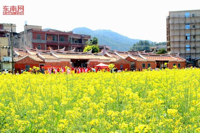 花海暢游 泉州洛江虹山油菜花文化節開幕