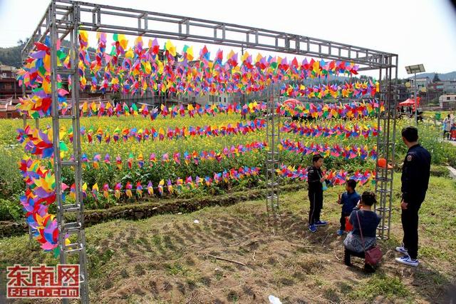 花海暢游 泉州洛江虹山油菜花文化節開幕