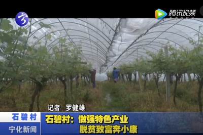 石碧村：做強特色產業 脫貧致富奔小康