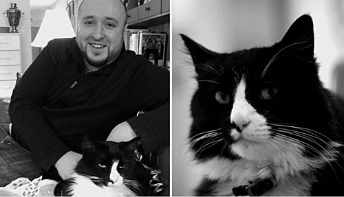 這個錄像剪輯片是39歲的電影制作人威爾·布拉登的作品。（社交媒體截圖）