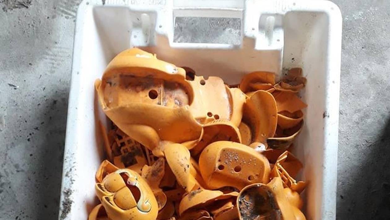 沖到岸邊的電話零件裝滿了一盒子。（圖源：《法國西部報》）