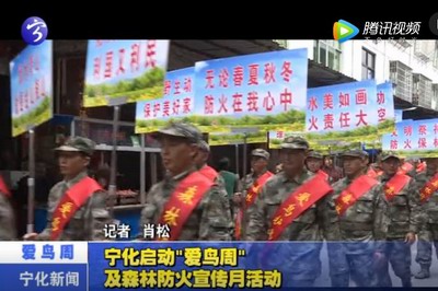 寧化啟動“愛鳥周”及森林防火宣傳月活動