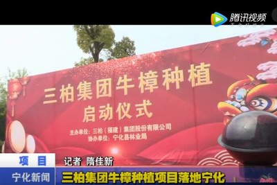 三柏集團牛樟種植項目落地寧化