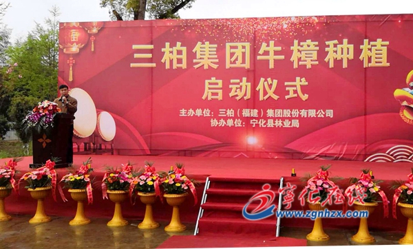 三柏集團(tuán)牛樟種植啟動(dòng)儀式在寧化舉行