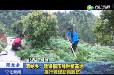 河龍鄉(xiāng)：建設福樂緣種植基地 推行黨建助推脫貧
