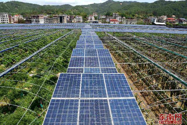 龍巖:扣準產業項目,老區“拔窮根”