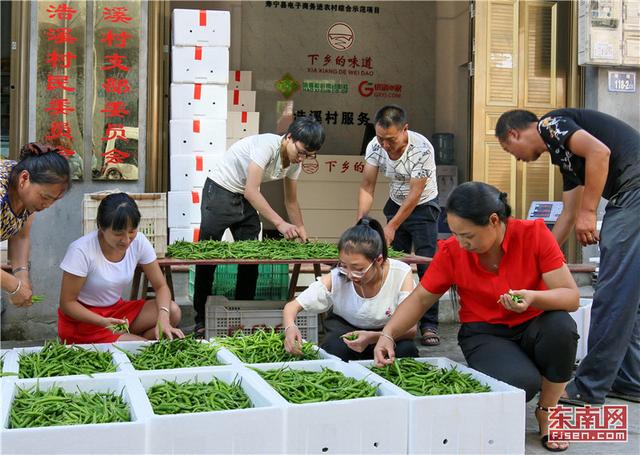 寧德推動(dòng)農(nóng)村電子商務(wù)體系建設(shè)：咱村有電商，特產(chǎn)賣得歡 