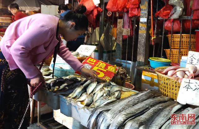 夜游廈門八市 感受市井煙火氣息