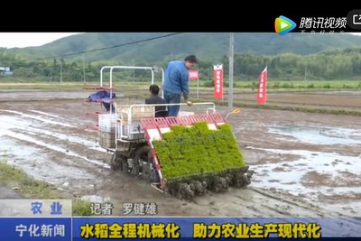 水稻全程機械化 助力農業生產現代化