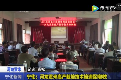 寧化：河龍貢米高產(chǎn)栽培技術(shù)培訓(xùn)促增收