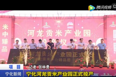 寧化河龍貢米產(chǎn)業(yè)園正式投產(chǎn)