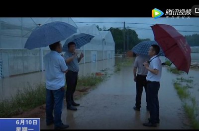 寧化：持續暴雨襲擊 農作物受災 干部群眾奮起抗災自救