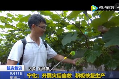 寧化：開展災后自救 積極恢復生產