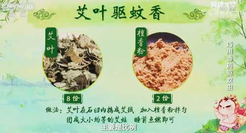 這個(gè)中藥驅(qū)蚊方,在家就能做,效果很驚人!