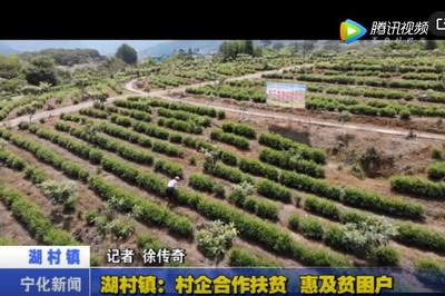 湖村鎮：村企合作扶貧 惠及貧困戶