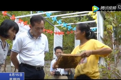 福建省人民政府發展研究中心領導來寧調研