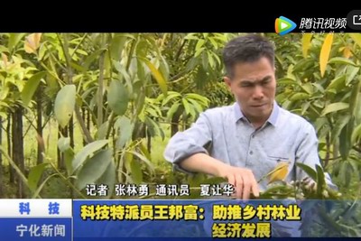科技特派員王邦富：助推鄉村林業經濟發展