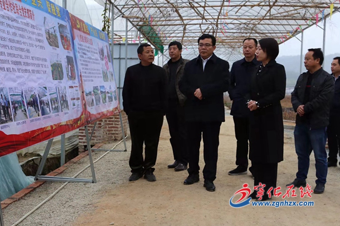市領導來寧化調研